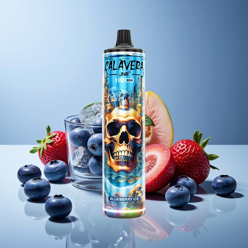 JNR Calavera 11000 Puffs Tipo-C 850mAh 21ml 1.0ohm Malla Arándano Hielo