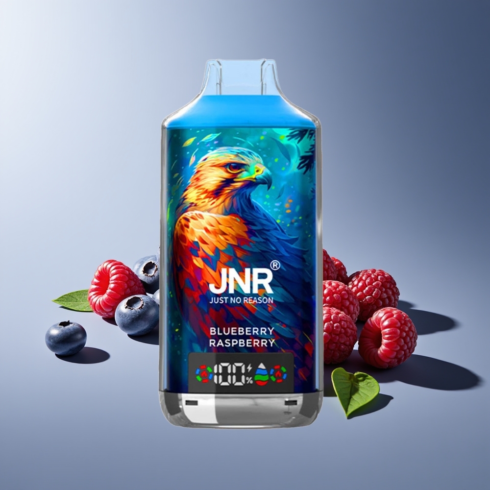 JNR Falcon X 18000 Puffs 750mAh 24ml Doble Malla Digital Tipo-C 0%2%5% Arándano Frambuesa