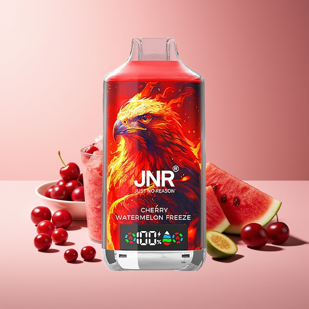 JNR Falcon X 18000 Puffs 750mAh 24ml Dual Mesh Coil Digital Display Type-C 0%2%5% Cereza Sandía Helada