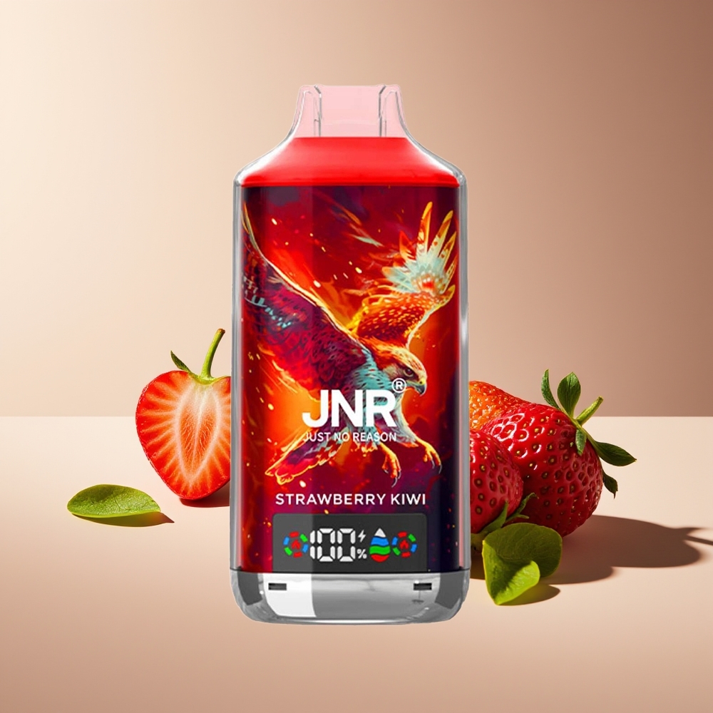 JNR Falcon X 18000 Puffs 750mAh 24ml Dual Mesh Coil Digital Display Type-C Fresa Kiwi