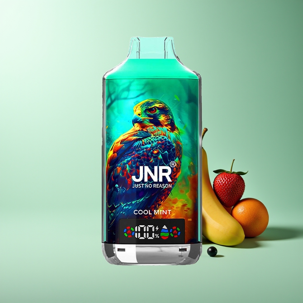 JNR Falcon X 18000 Puffs 750mAh 24ml Dual Mesh Coil Pantalla Digital Carga Rápida Type-C Menta Refrescante