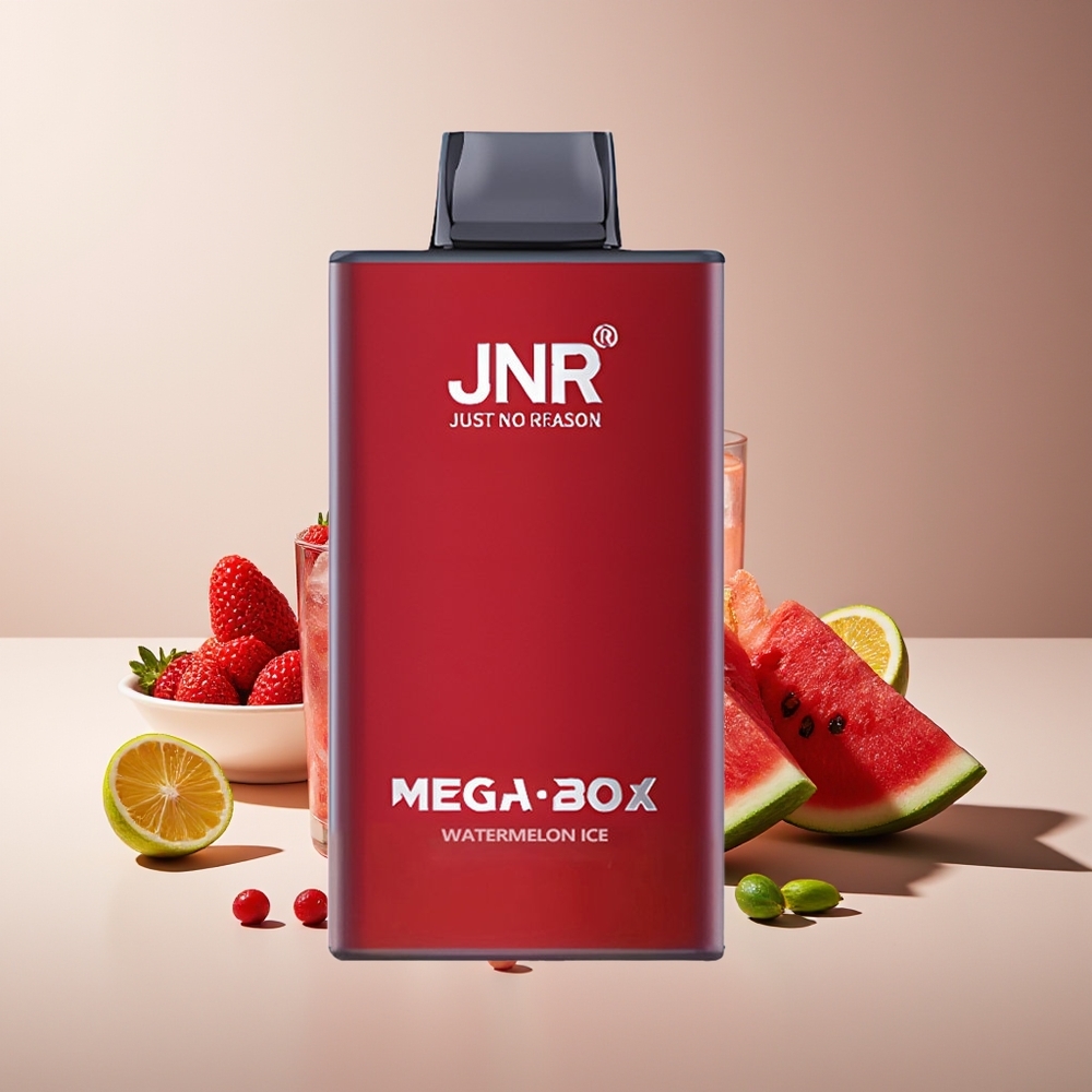 JNR Mega Box 25000 Puffs Dual Mesh Sandía Hielo