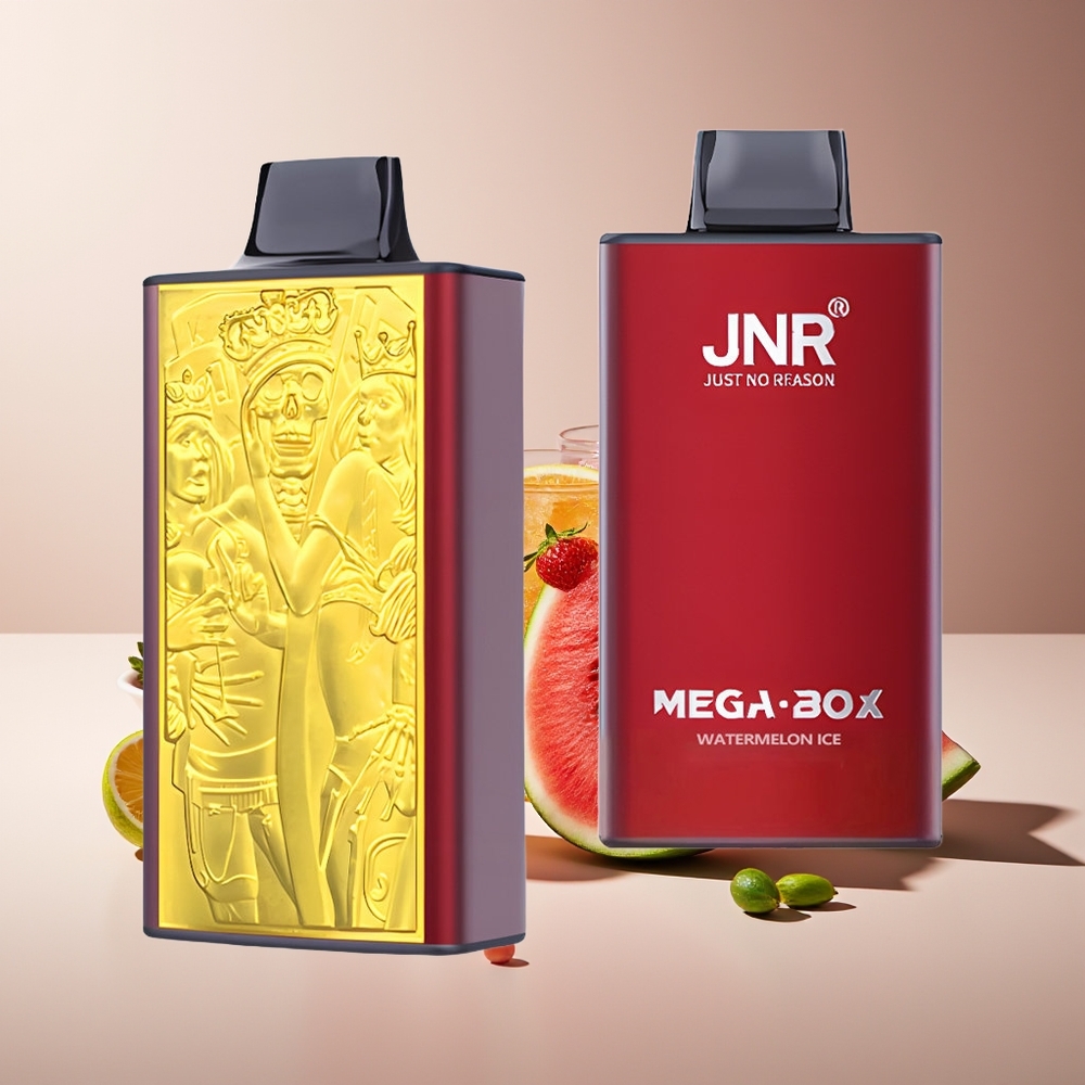 JNR Mega Box 25000 Puffs Dual Mesh Sandía Hielo